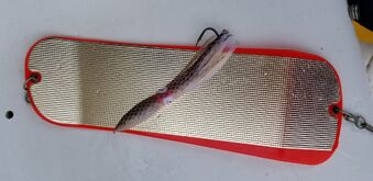 Squid Hootchie with Flasher