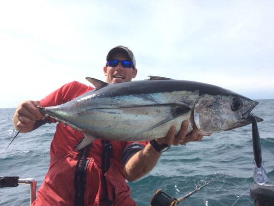 Kyuquot Tuna Salmon Halibut Combo