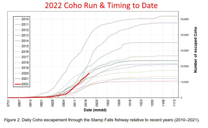 Coho Run Timing