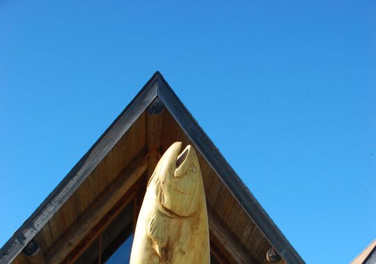 Fall Salmon & Steelhead 5 day Fish-Lodge-Dine