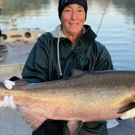 Fall Salmon are on the Move!